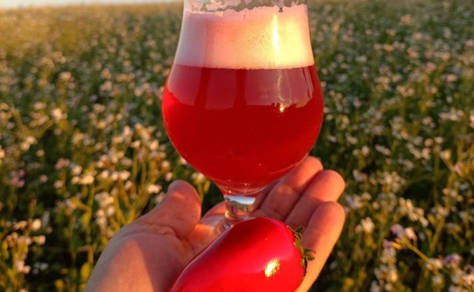 cervejaria-chope-morango-amor-aposta-novidade