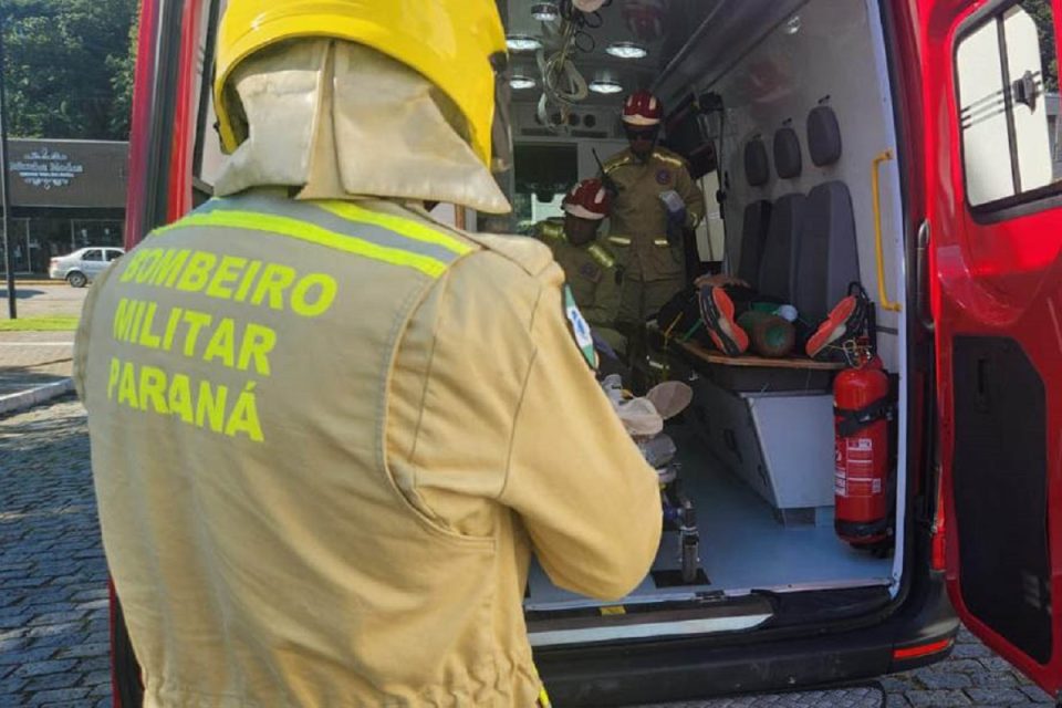 corpo-de-bombeiro-ataques-caes