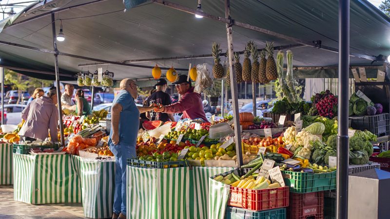 domingo-feiras-curitiba-opcoes (2)
