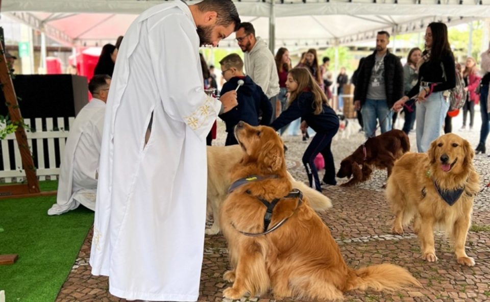 bencao-dos-animais-2025-curitiba-1