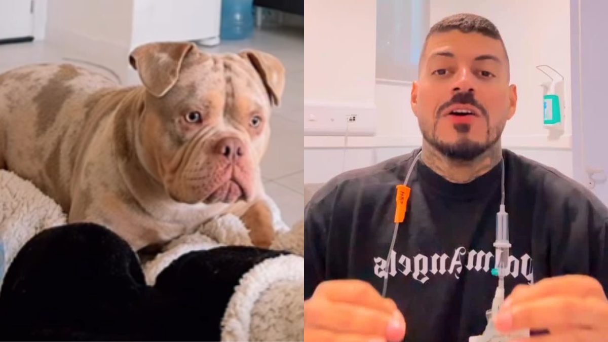 cachorro-come-dedo-pé-influenciador