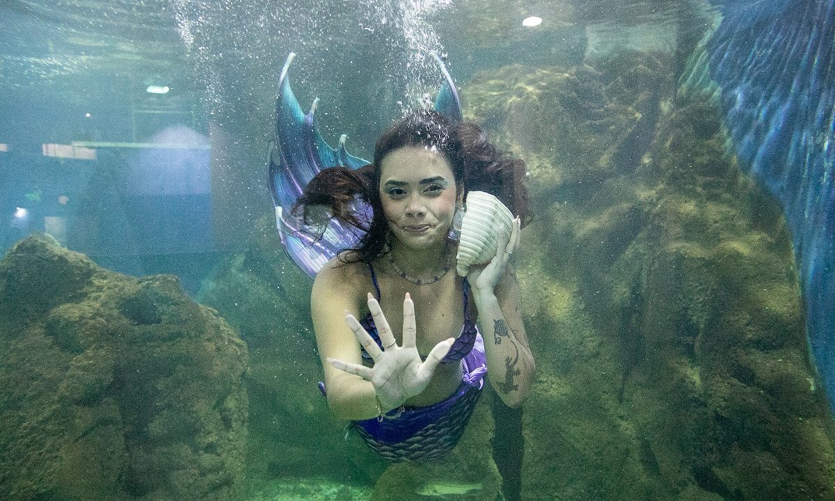 aquario-de-paranagua