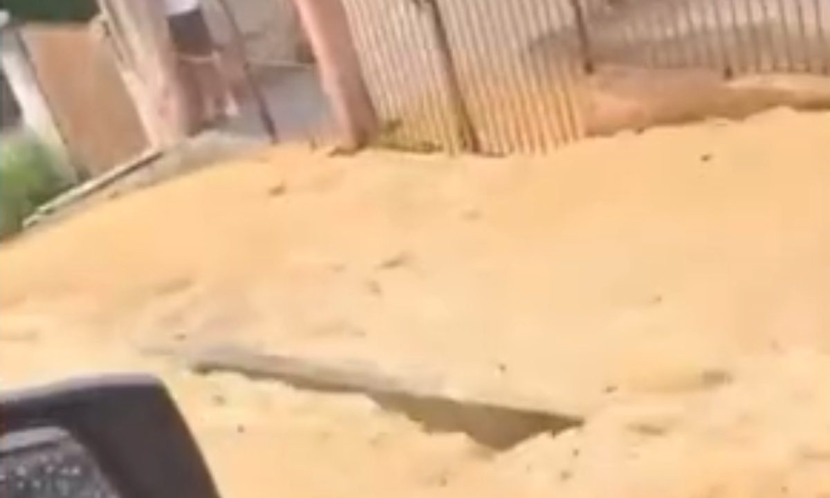 lama-invade-casas-sao-braz