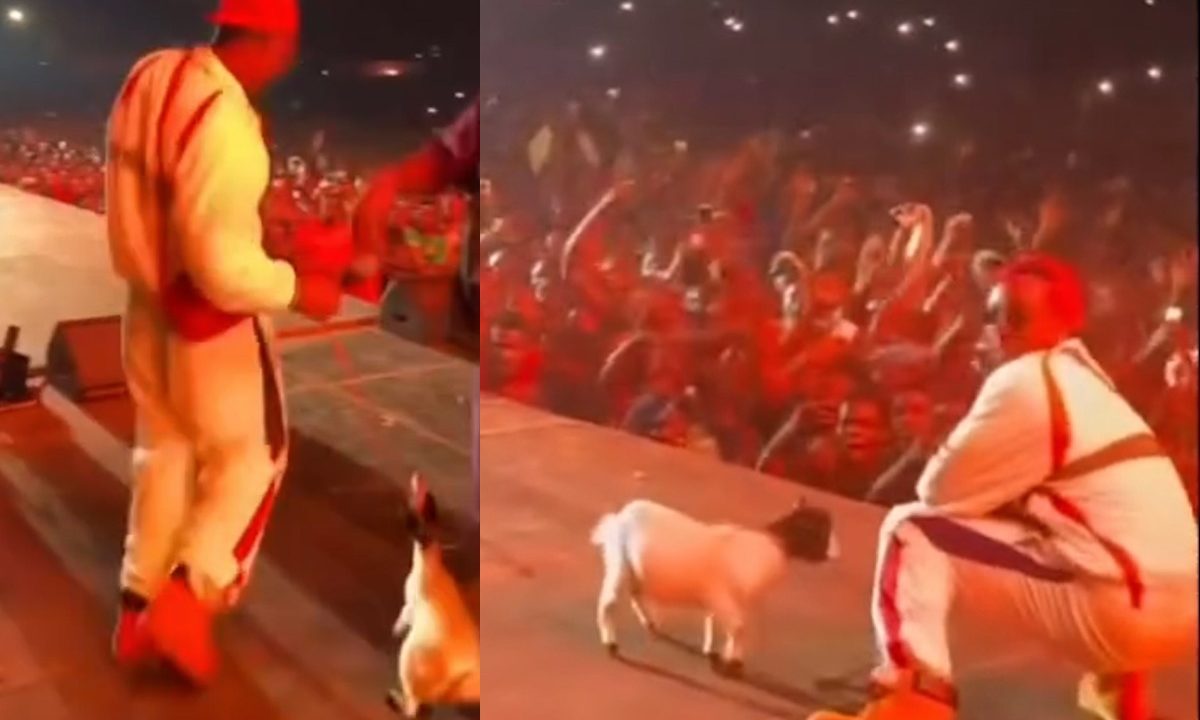 rapper-arrasta-cabra-palco-nigeriano
