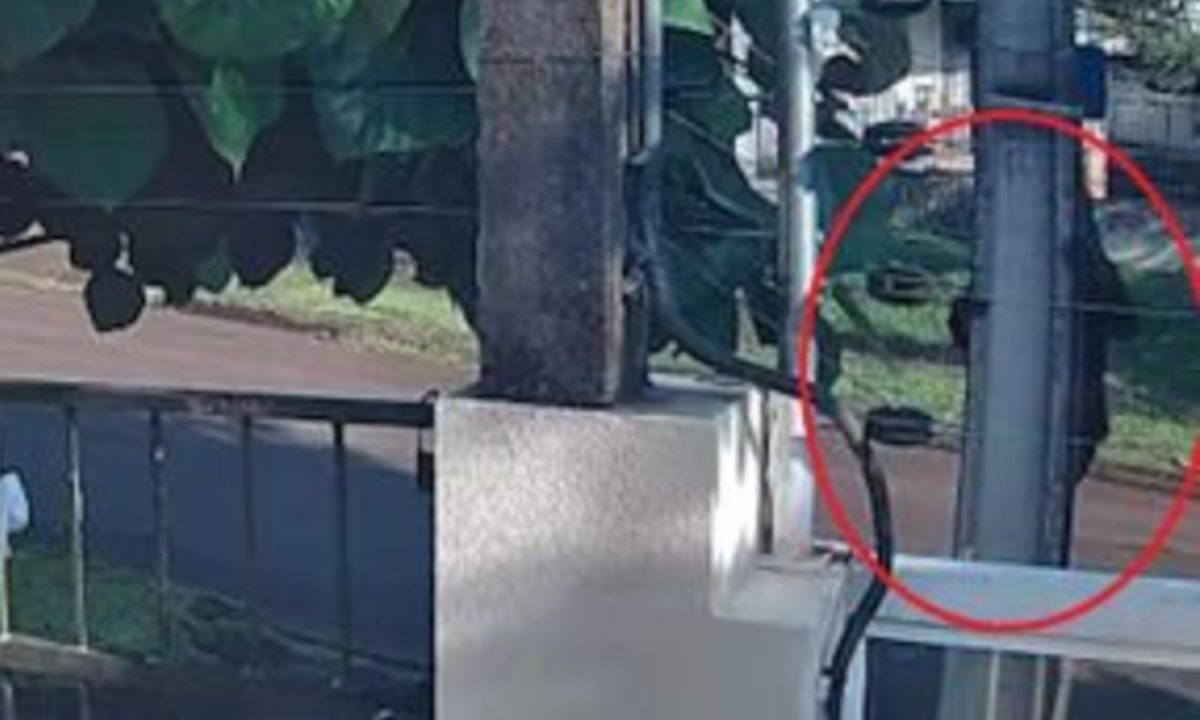 Homem escalando poste de energia elétrica para furtar fios em Cascavel
