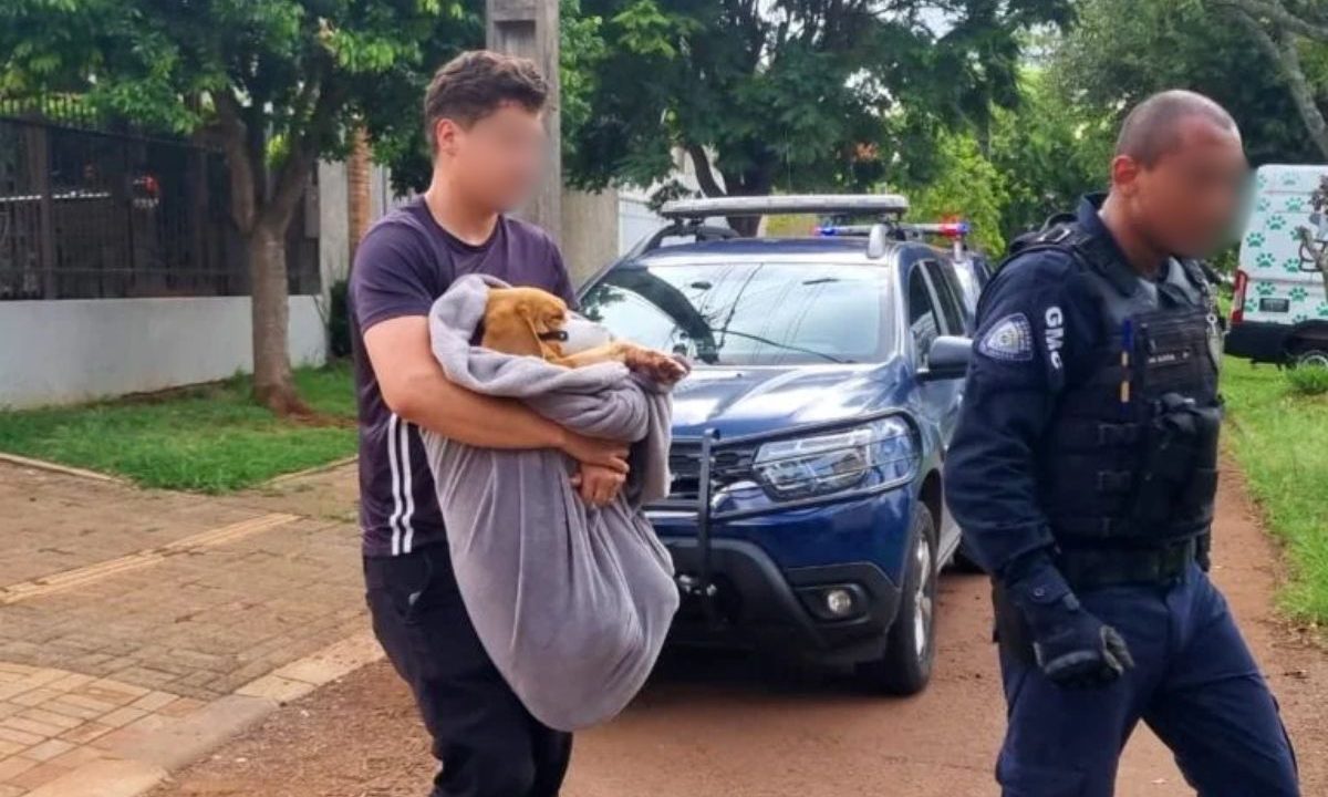 Beagle que foi abusado sendo resgatado por policiais