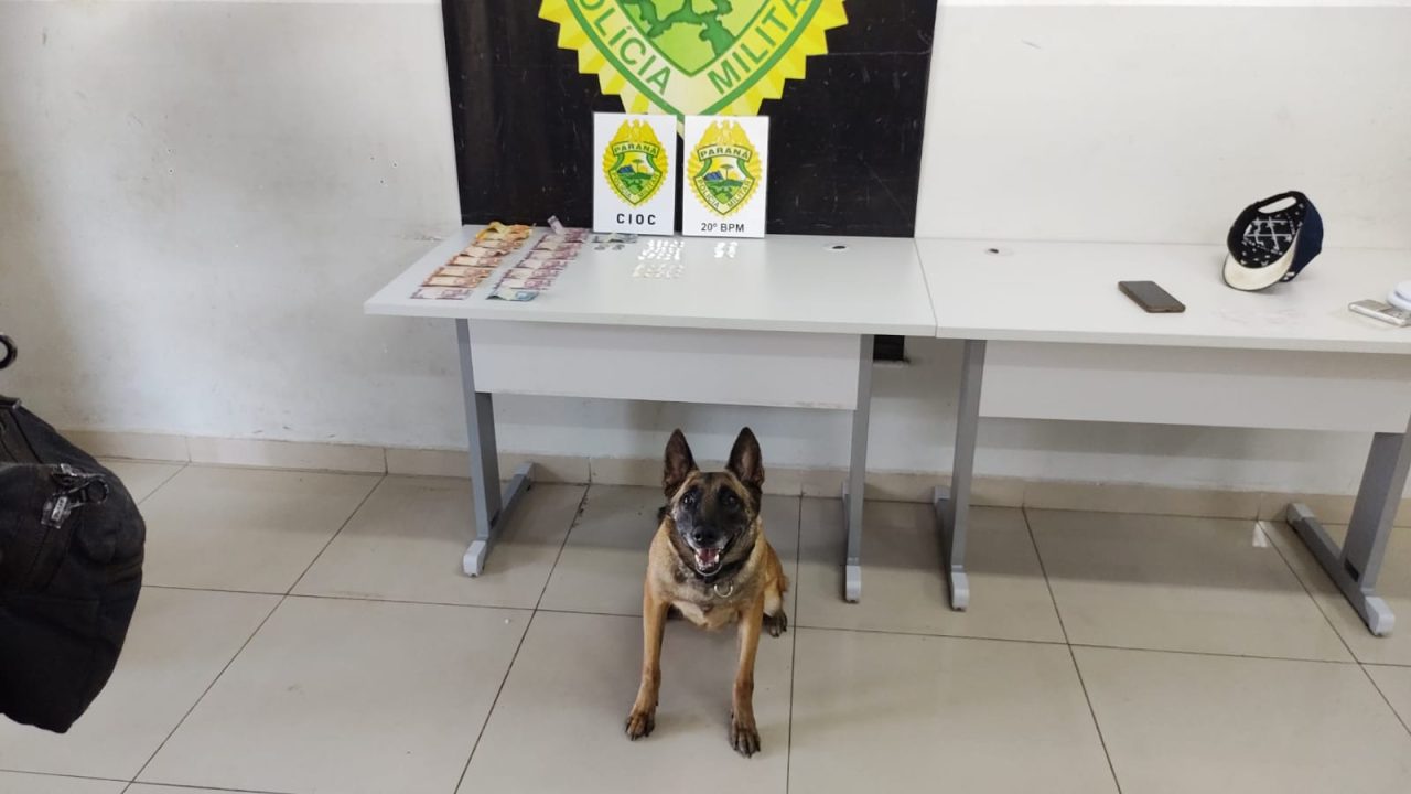 Cadela da PM ao lado de dinheiro trocado e pacotes de drogas apreendidos no Uberaba