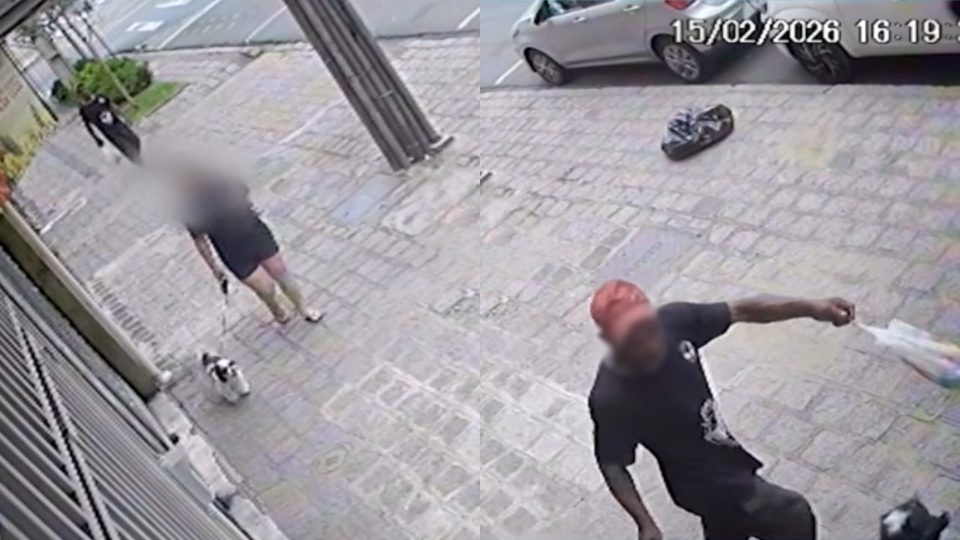 cachorro-agredido-chute-centro-curitiba