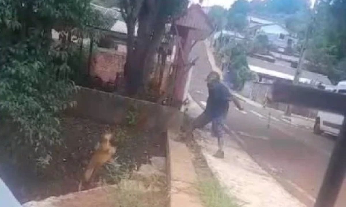 Homem atirando cachorro caramelo dentro de rio