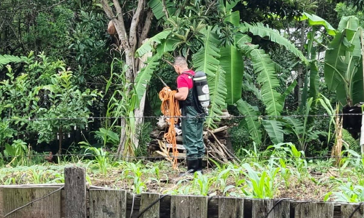 Foto mostra bombeiro procurando por corpo no mato
