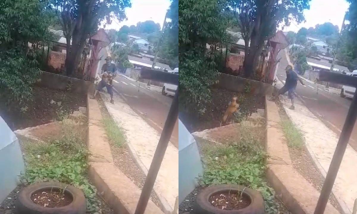 Homem é preso por jogar cachorro de rua no rio