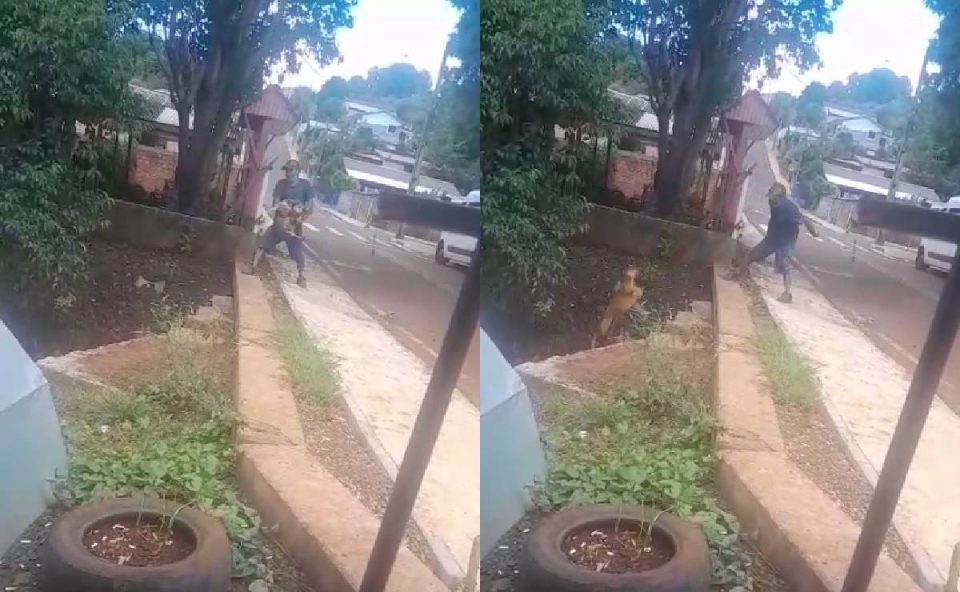 Homem é preso por jogar cachorro de rua no rio