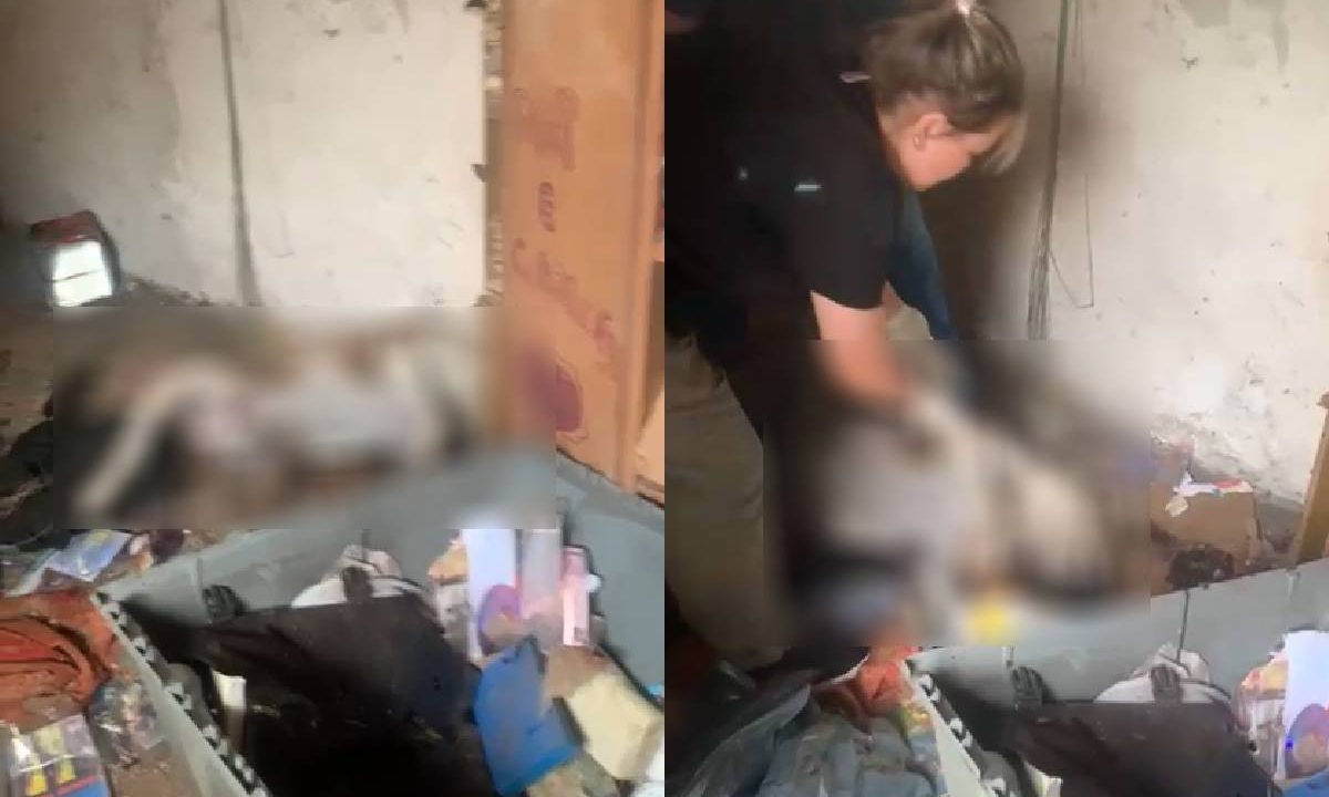 O animal foi encontrado morto em um quarto fechado