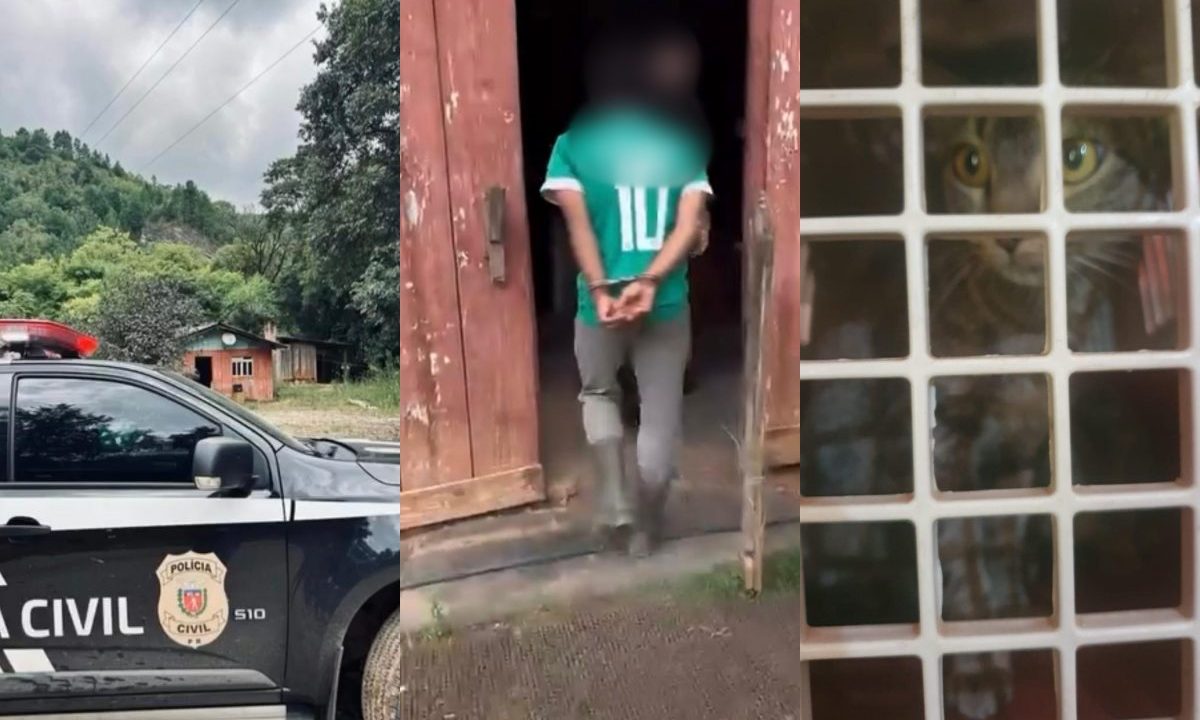 Colagem une três fotos que mostram uma viatura da Polícia Civil parada em frente à casa do suspeito, o homem sendo preso e algemado e um gato resgatado