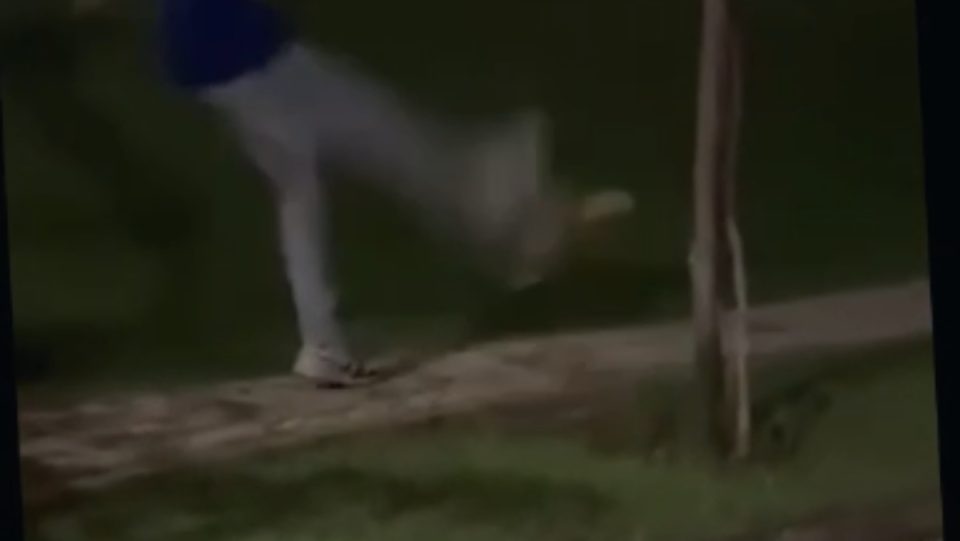 Jovem aparece em vídeo no momento em que chuta um gambá em área de condomínio residencial.