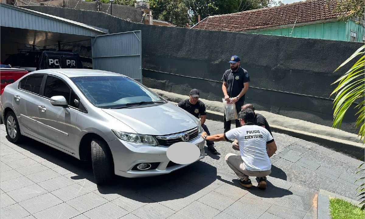 carro que atropelou cadela Dara é apreendido e motorista tem o direito de dirigir suspenso