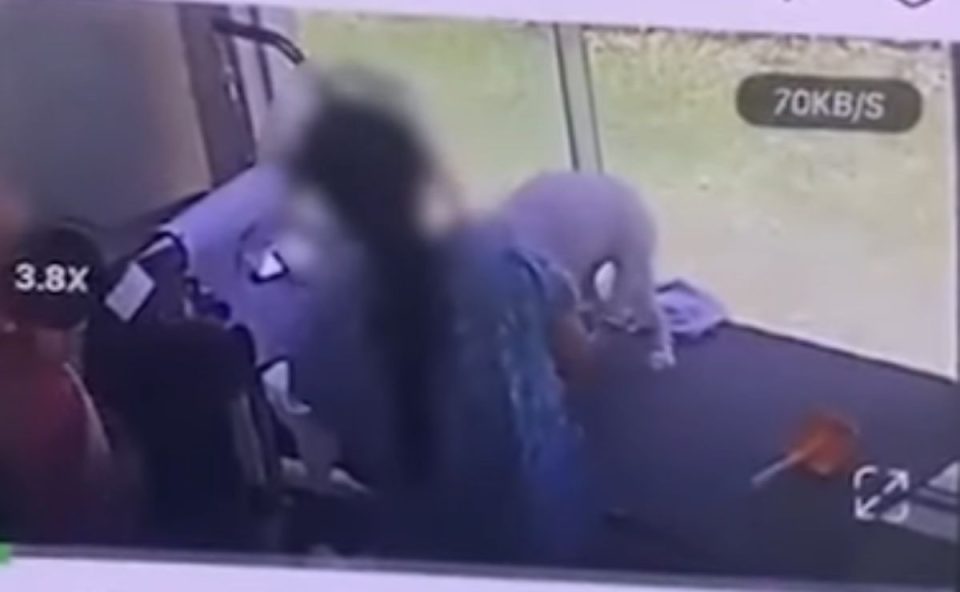 Veterinária agredindo cachorro durante o banho