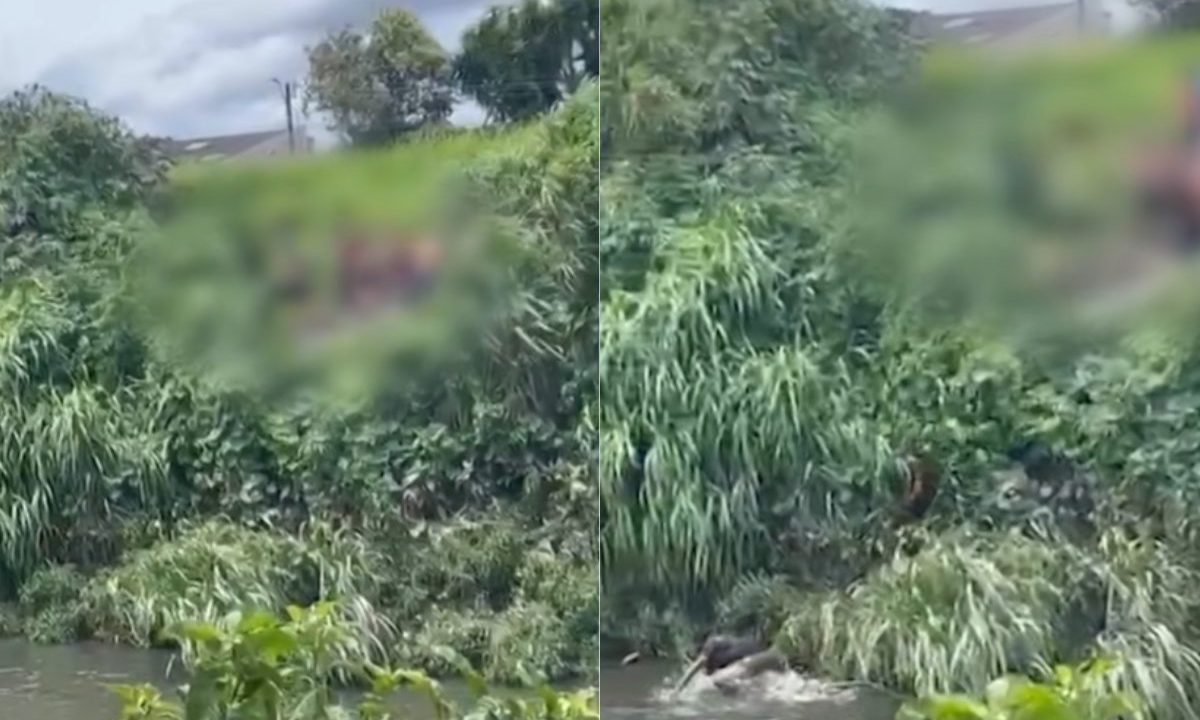 Imagem mostra um mato verde e logo embaixo tem um rio. Os suspeitos do ataque a facadas no Boqueirão estão em cima do mato batendo na vítima. A imagem está com duas fotos. A segundo foto mostra a vítima correndo no rio. Ele usa camiseta preta.