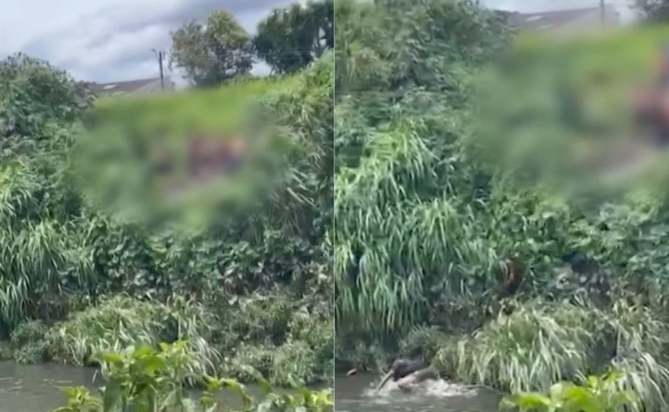 Imagem mostra um mato verde e logo embaixo tem um rio. Os suspeitos do ataque a facadas no Boqueirão estão em cima do mato batendo na vítima. A imagem está com duas fotos. A segundo foto mostra a vítima correndo no rio. Ele usa camiseta preta.