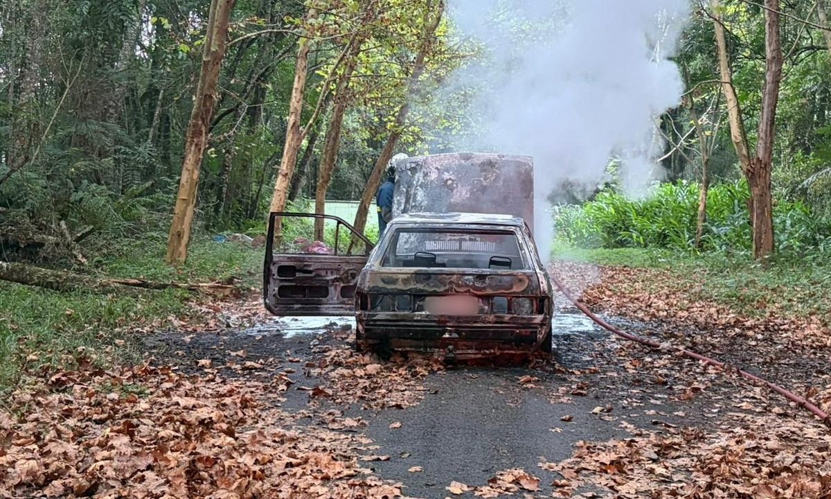 Foto mostra carro destruído por incêndio horas depois de ser furtado em Curitiba; veículo está em uma rua aparentemente sem saída, em meio a várias árvores e folhas no chão.