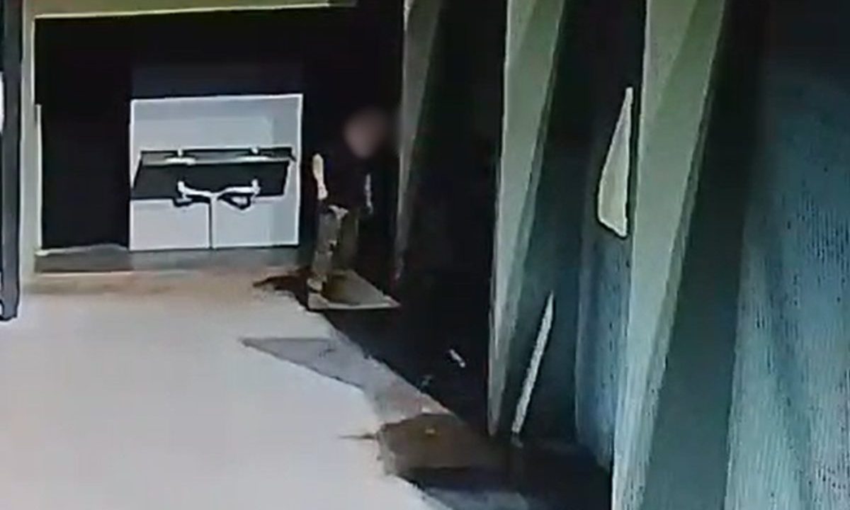 Chefe de vigilância de Corbélia é exonerado de cargo comissionado. Imagem mostra o suspeito agredindo um homem em situação de rua em praça pública da cidade.