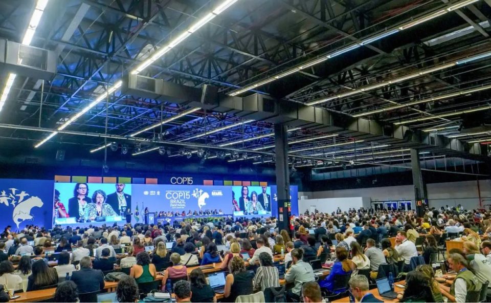 Participantes reunidos na COP15 durante conferência internacional sobre espécies migratórias