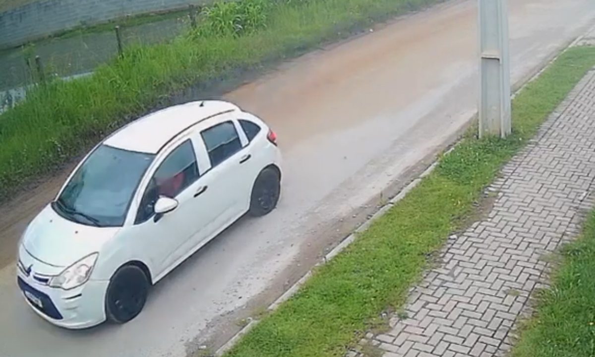 Carro branco deixa a rua enquanto cachorro corre atrás, em Colombo.