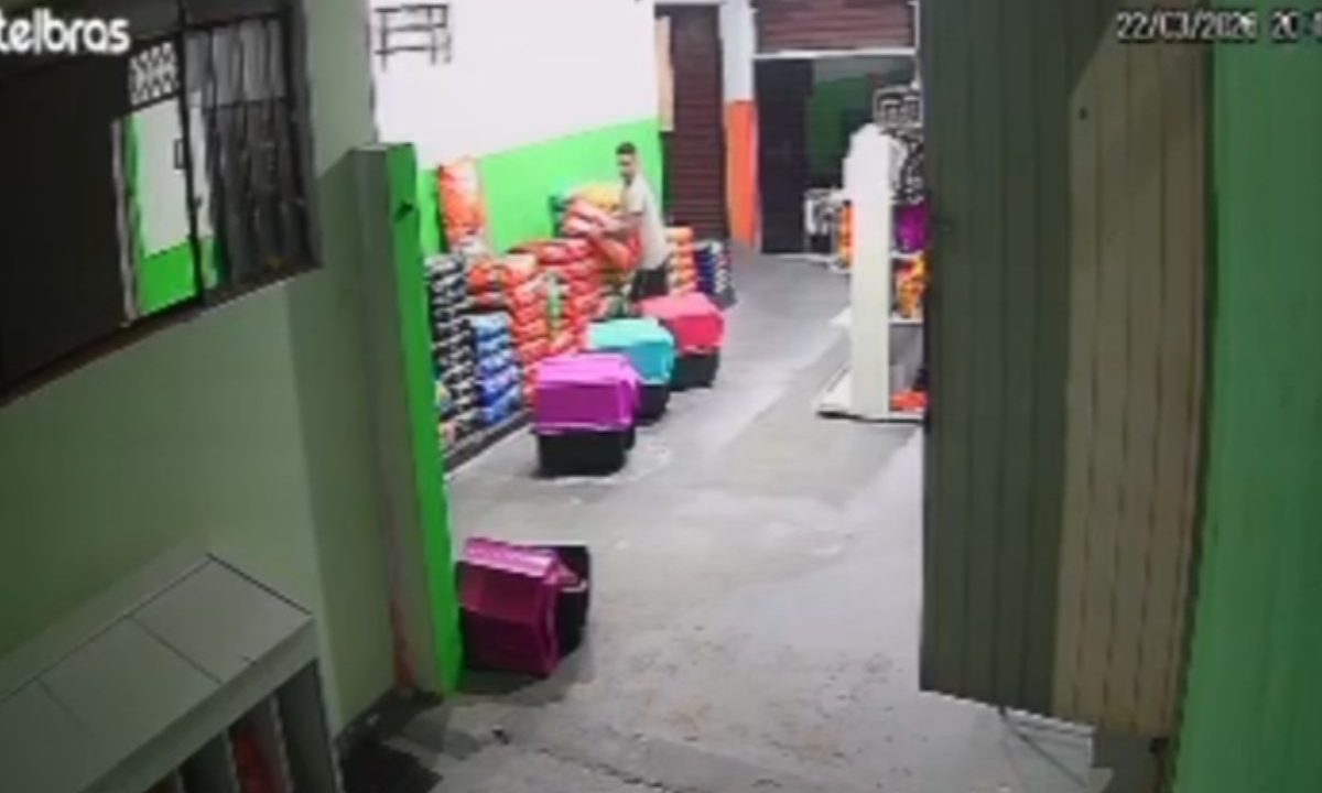 Imagens de câmera de segurança mostram funcionário de pet shop furtando loja em Colombo