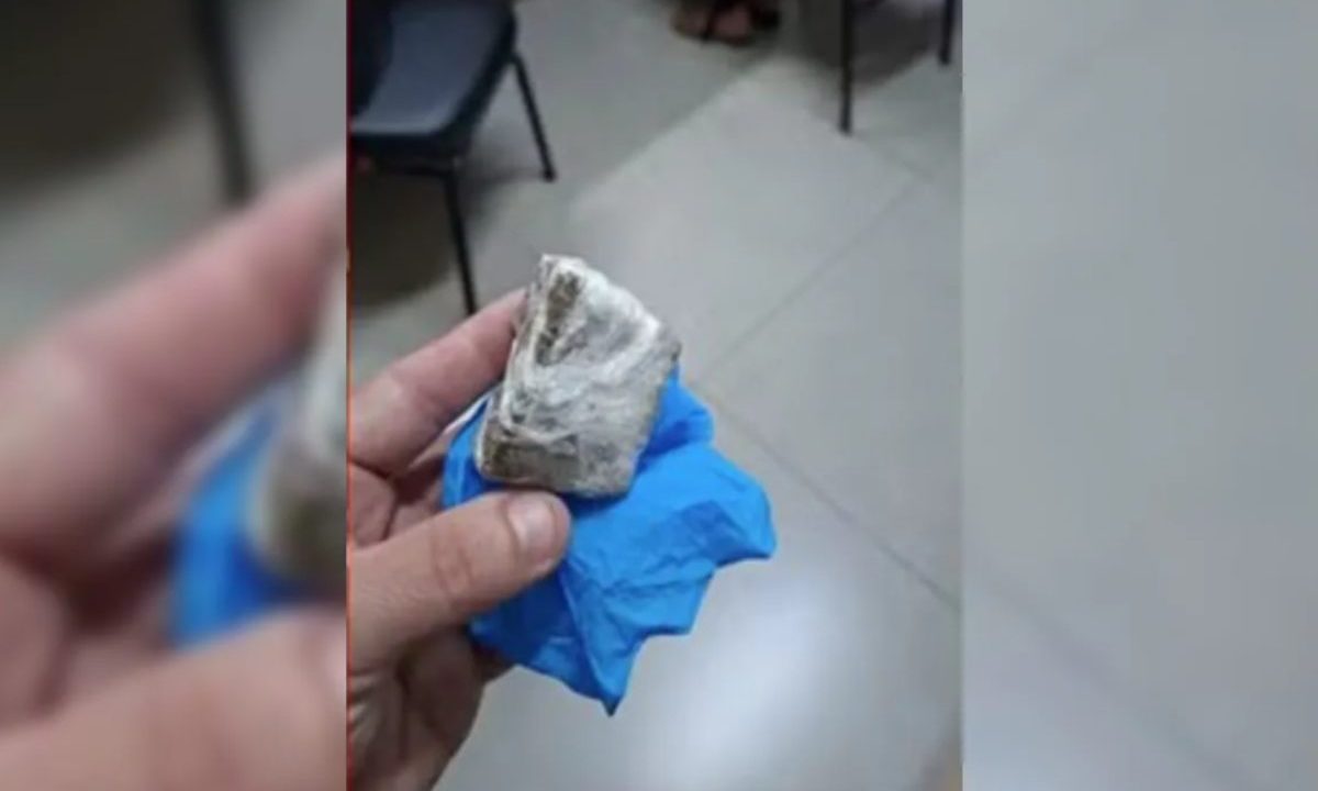 Maconha que foi encontrada na mochila de bebê em Cascavel