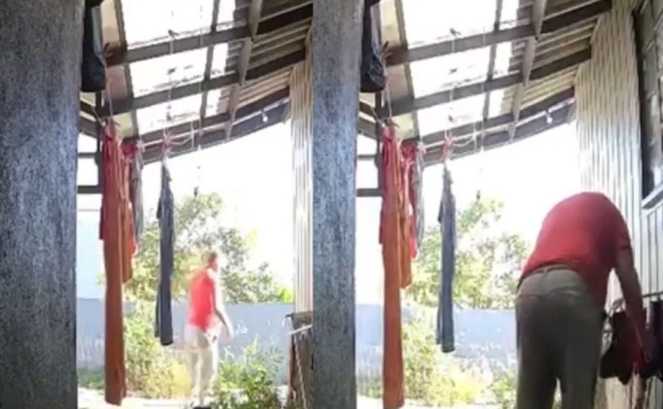 Foto registrada por câmera de segurança mostra homem de costas, dentro de um terreno, furtando calcinhas estendidas em um varal. Ele usa camiseta vermelha.
