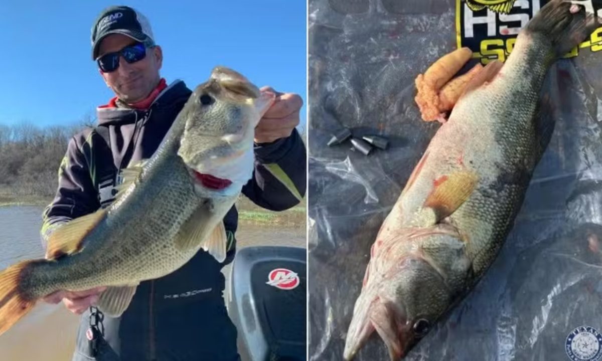 Foto do pescador que foi preso e o peixe