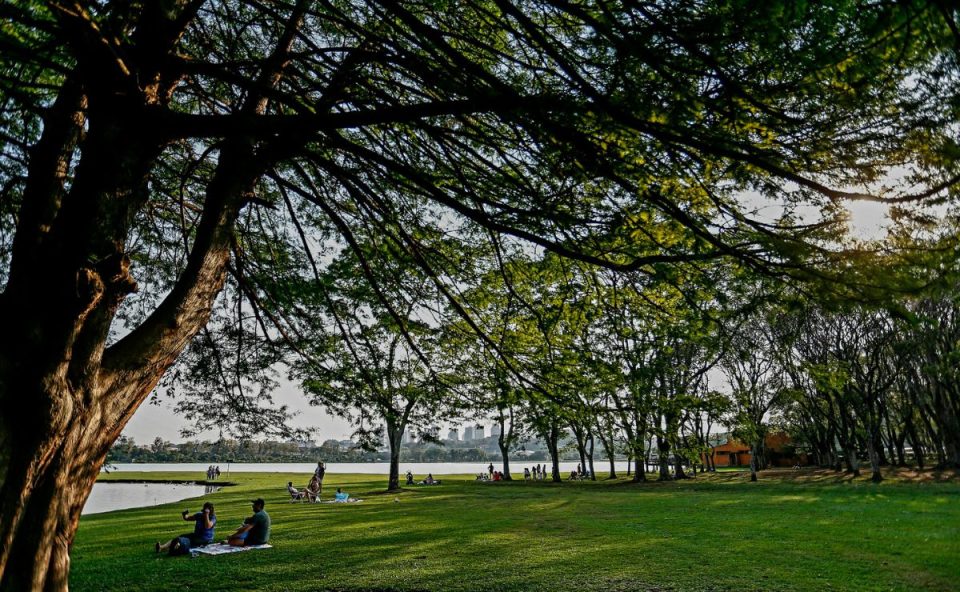 foto de pessoas no parque para ilustrar a previsão do tempo em curitiba. na imagem aparece também uma árvore