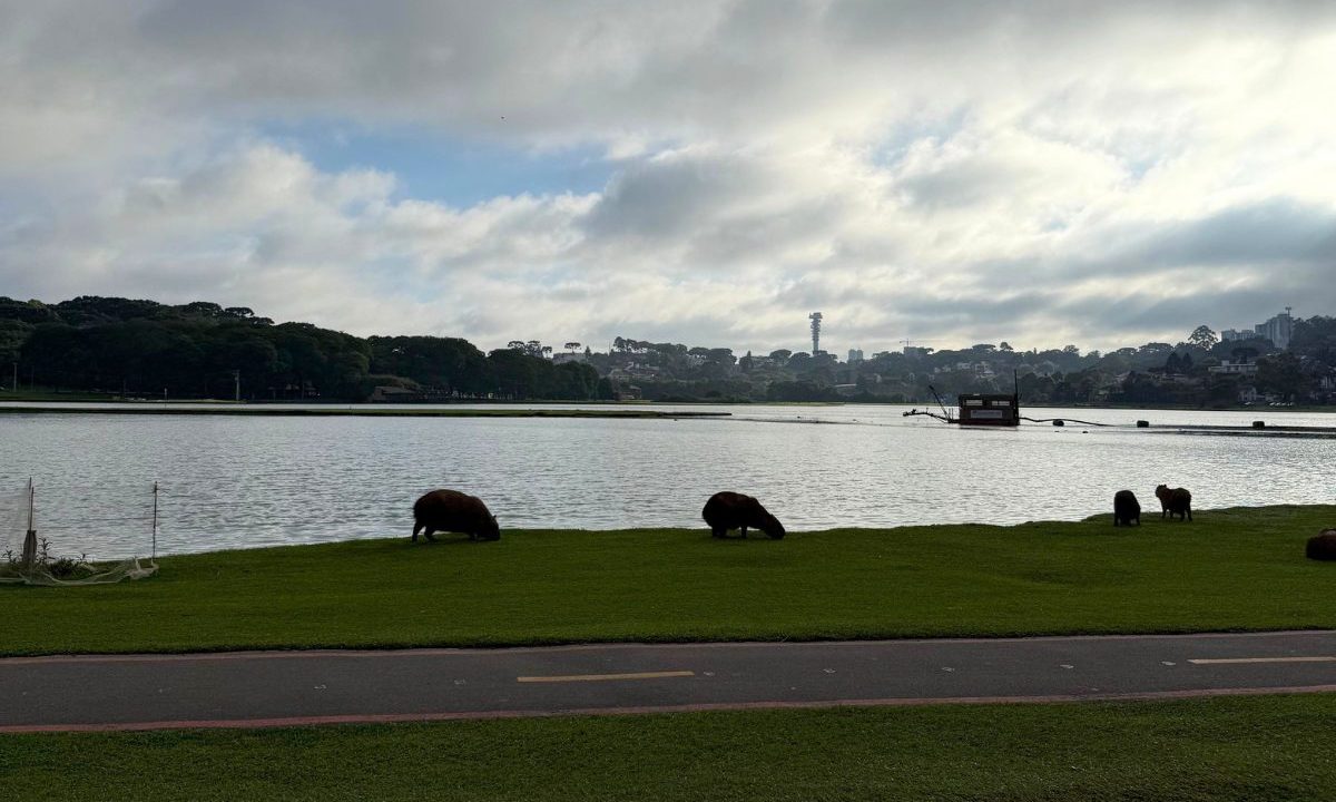 Imagem mostra o Parque Barigui em Curitiba, com capivaras perto do lago. O céu está com bastante nuvens em um dia com previsão de tempo estável, como esta sexta-feira.