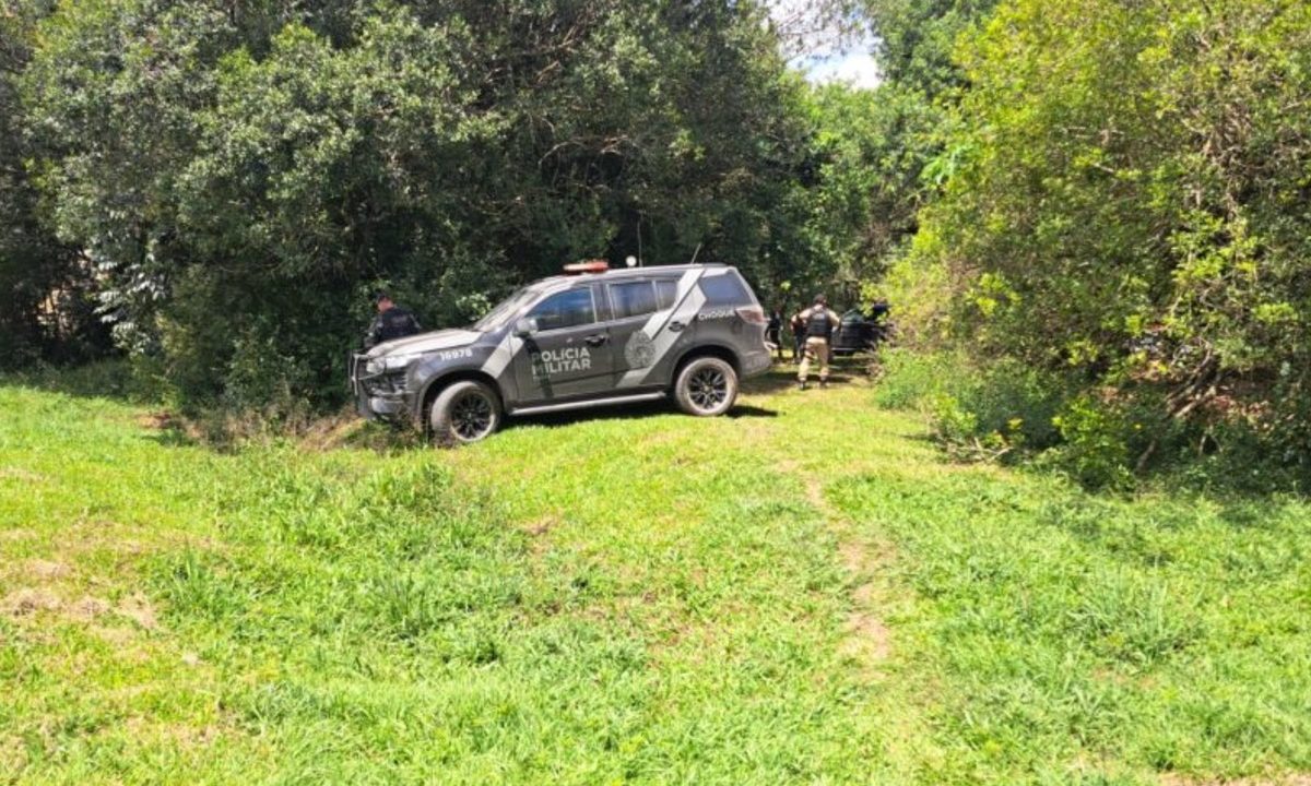 Foto mostra viatura preta da Polícia Militar do Paraná em meio a árvores e sobre grama. O dia está ensolarado.