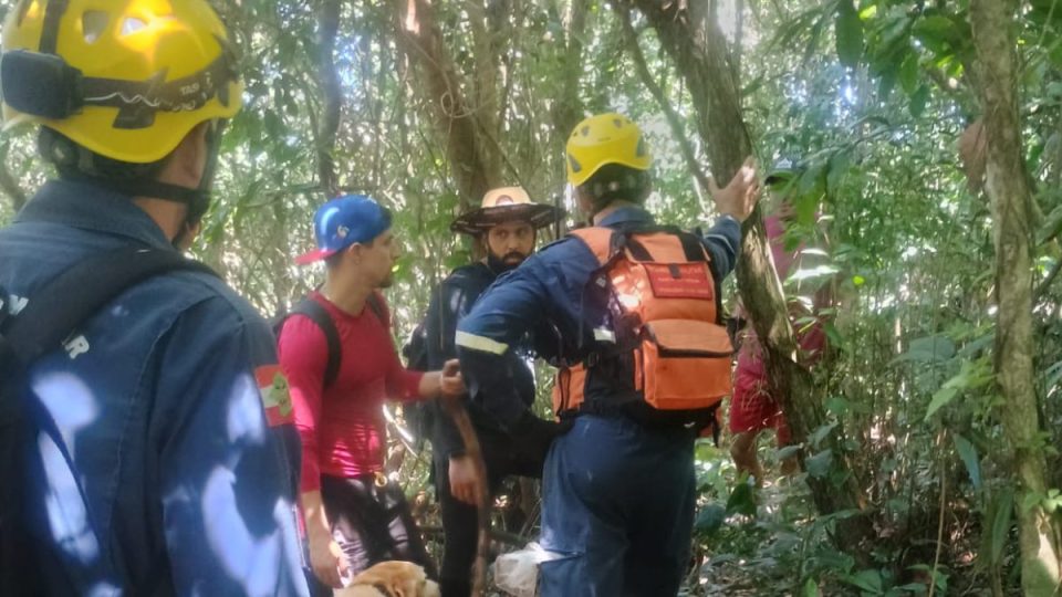 Bombeiros fazem buscas por venezuelano desaparecido em Florianópolis; cão auxilia nas buscas