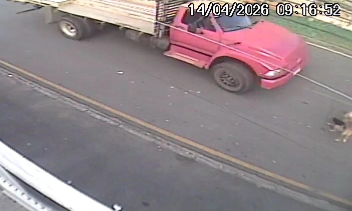 Captura de um trecho do vídeo da câmera de segurança antes de cachorro ser atropelado por caminhão em Colombo.