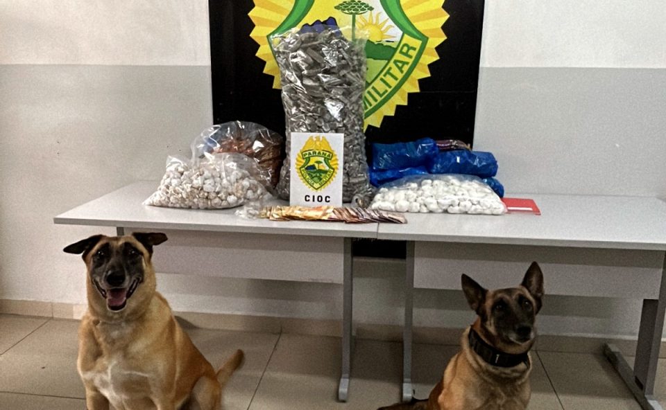 Dois cães farejadores da Polícia Militar em frente a uma mesa com drogas, dinheiro e munições apreendidos durante operação que levou à prisão de dupla no bairro Parolin, em Curitiba.