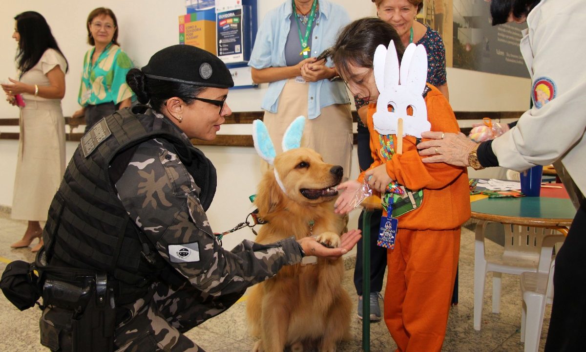 cão Balu, golden retriever, visitou hospital de reabilitação de curitiba