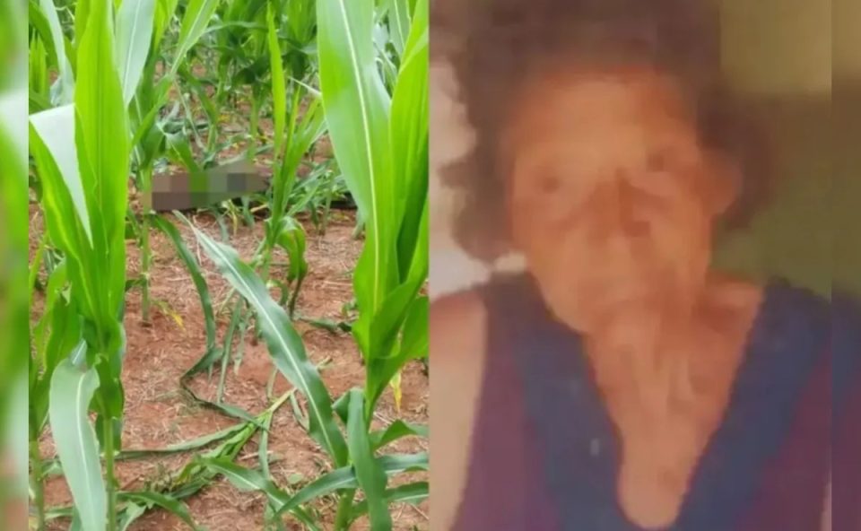 Colagem de duas fotos mostra, à esquerda, corpo de idosa que foi encontrado em milharal no Paraná. O corpo foi borrado em edição. À direita, há uma foto do rosto da idosa em 3x4