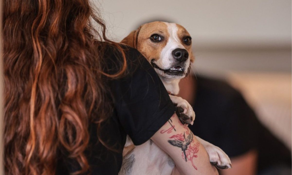 Imagem ilustrativa para nova lei que determina critérios e regras para guarda compartilhada de animais de estimação. Imagem mostra uma mulher de costas com um cachorro no colo.