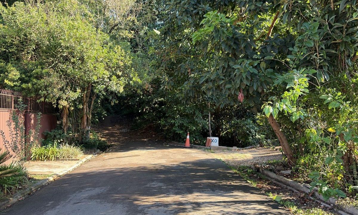 Mata de onde o homem baleado no Pilarzinho saiu, em Curitiba.