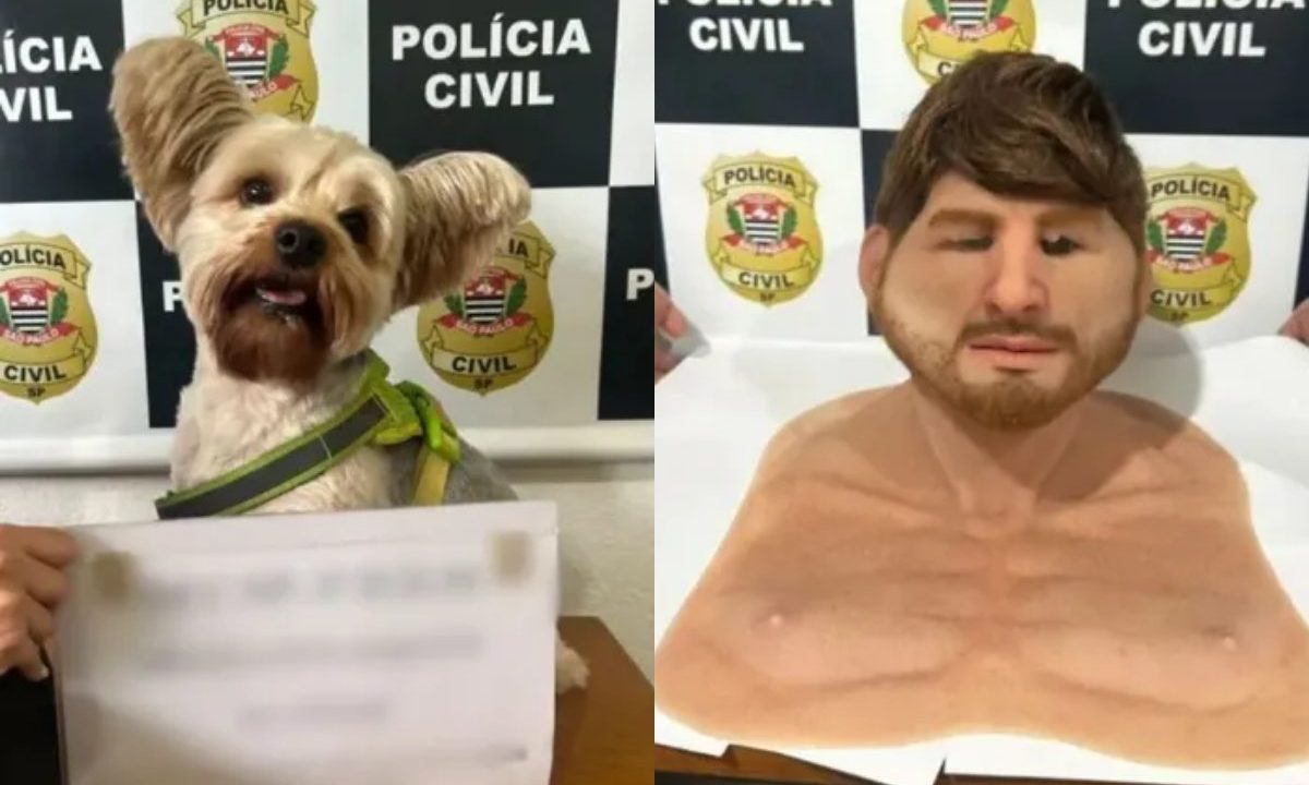 Imagens mostram cachorro e disfarce usado por homem para furtar o animal; ele foi preso pela polícia.