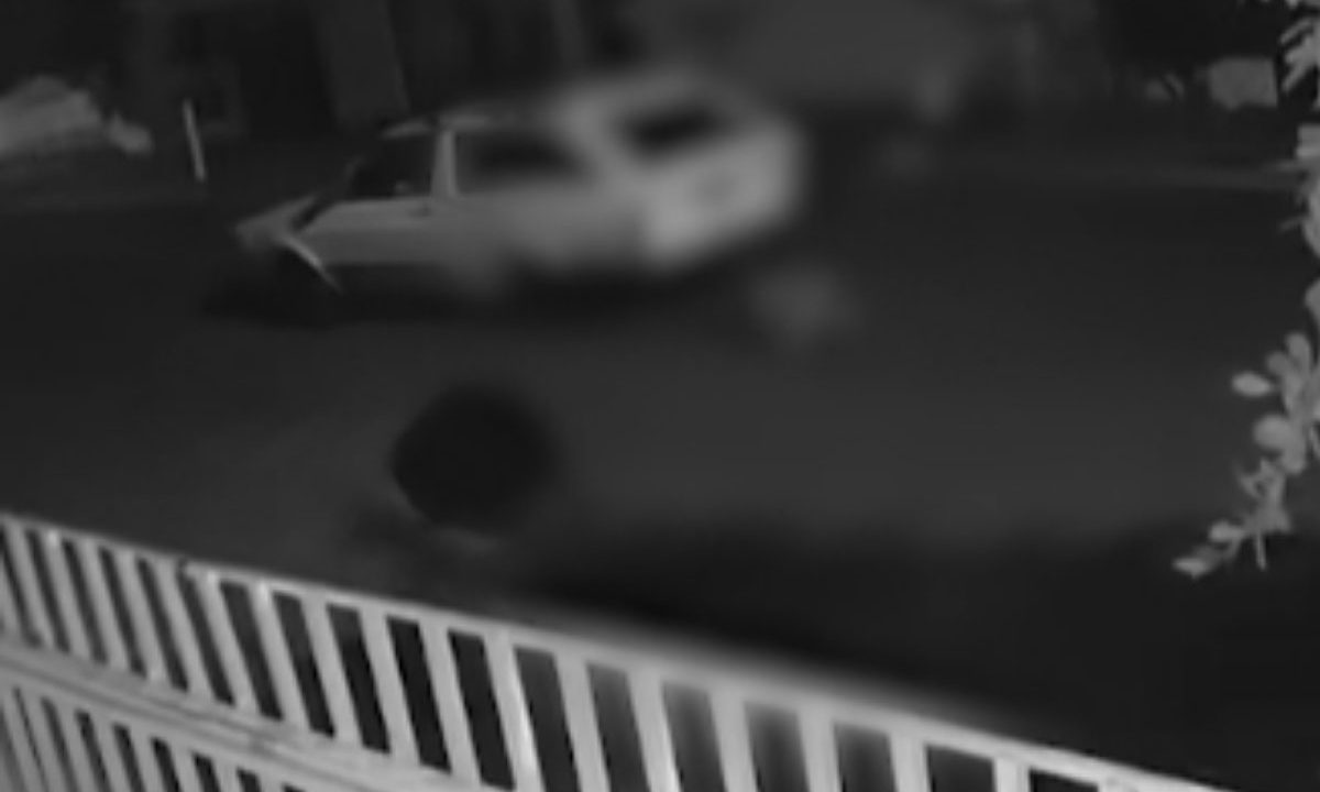 Imagem mostra idoso que matou cachorro arrastado saindo com o carro.