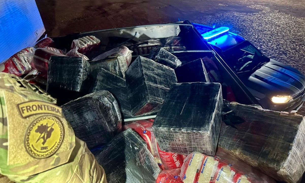 Foto mostra blocos de cocaína enrolados por plástico preto em meio a uma carga de arroz, dentro de uma carreta; motorista foi preso na BR-369