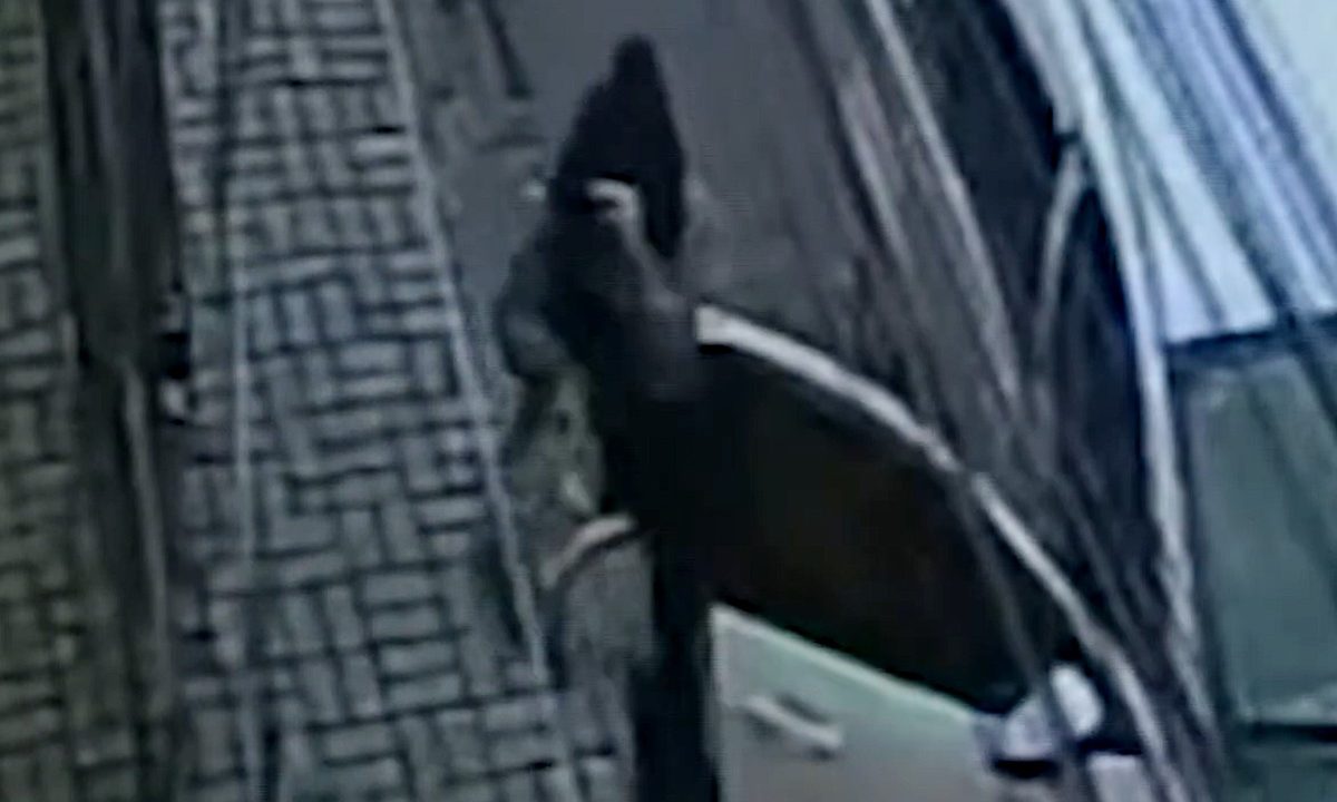 Captura de um trecho de um vídeo que flagrou o momento em que uma mulher abandona gatos no bairro Tatuquara, em Curitiba.