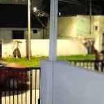 Momento em que homem acelera carro e mulher é atropelada pelo ex-marido