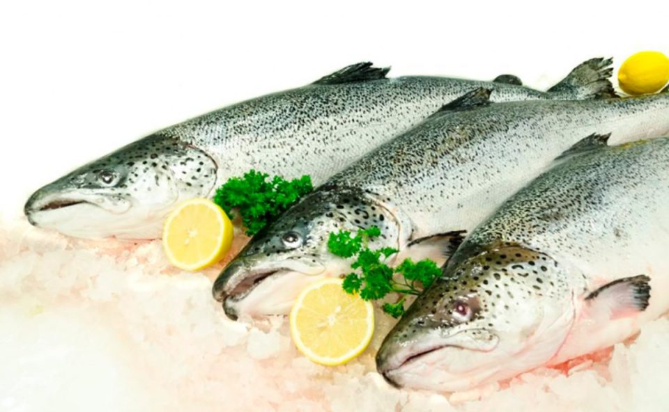 onde-comprar-peixe-sexta-feira-santa-curitiba (2)