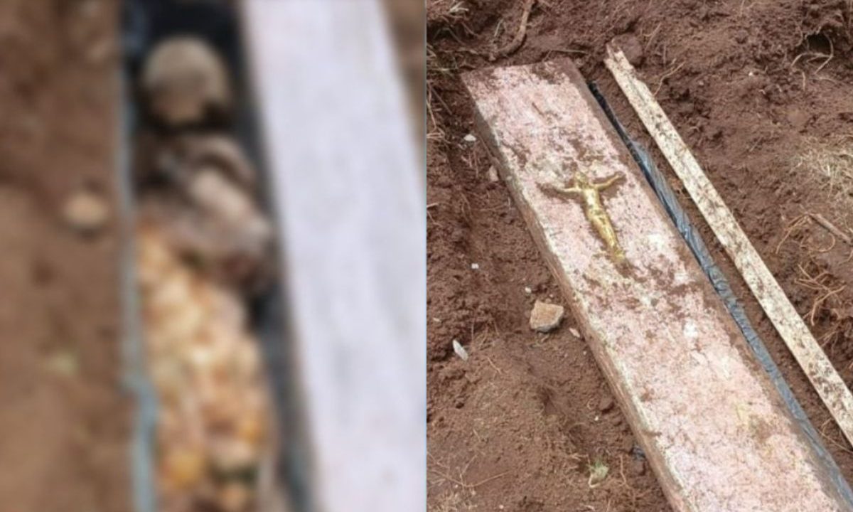 foto da ossada encontrada enterrada no quintal da casa