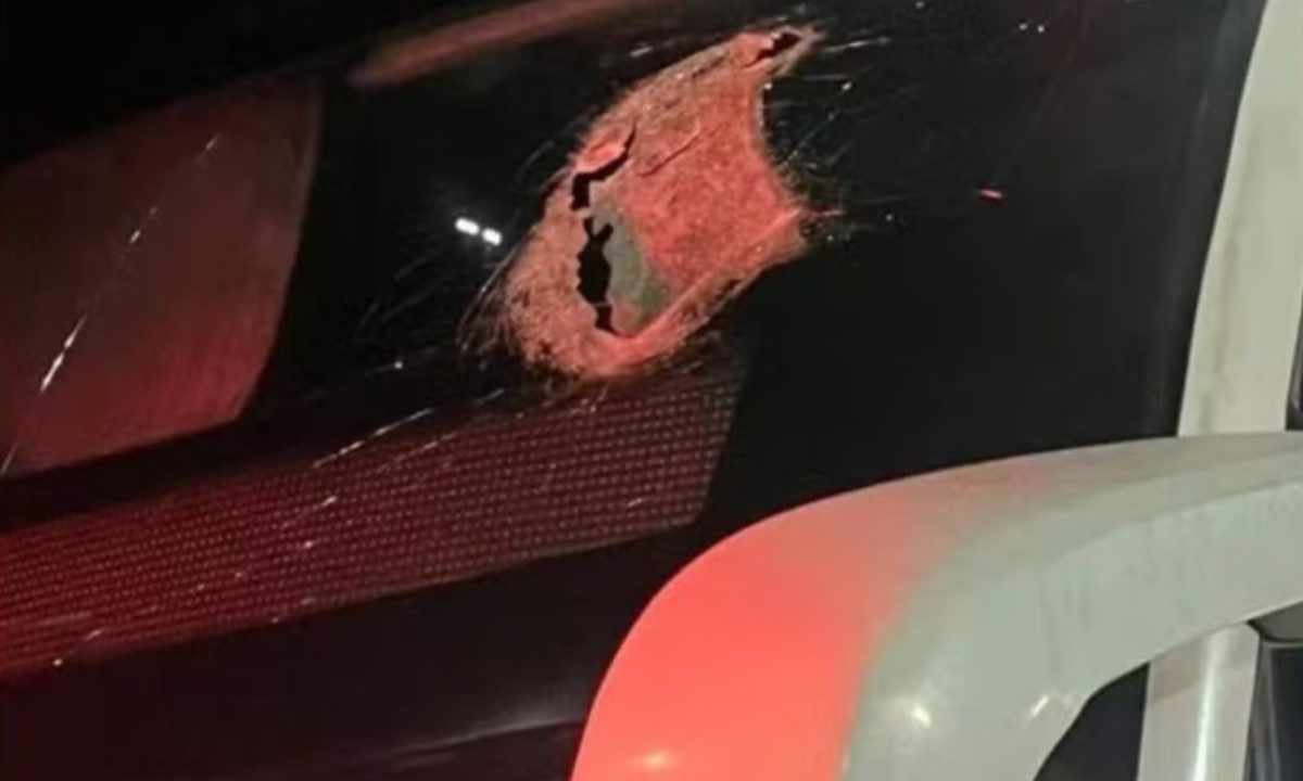 Foto mostra para-brisa de ônibus quebrado após peça de caminhão se soltar, invadir o veículo e atingir e matar passageiro na BR-277
