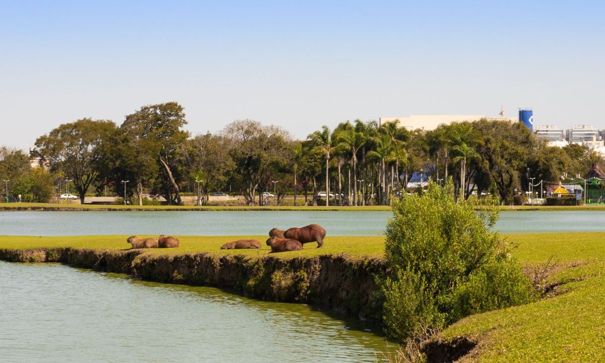 foto do parque barigui em curitiba para ilustrar a previsão do tempo